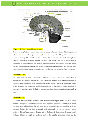 Nursing-5 - Unit 2 - Neurobiologic Theories and Psychopharmacology ...