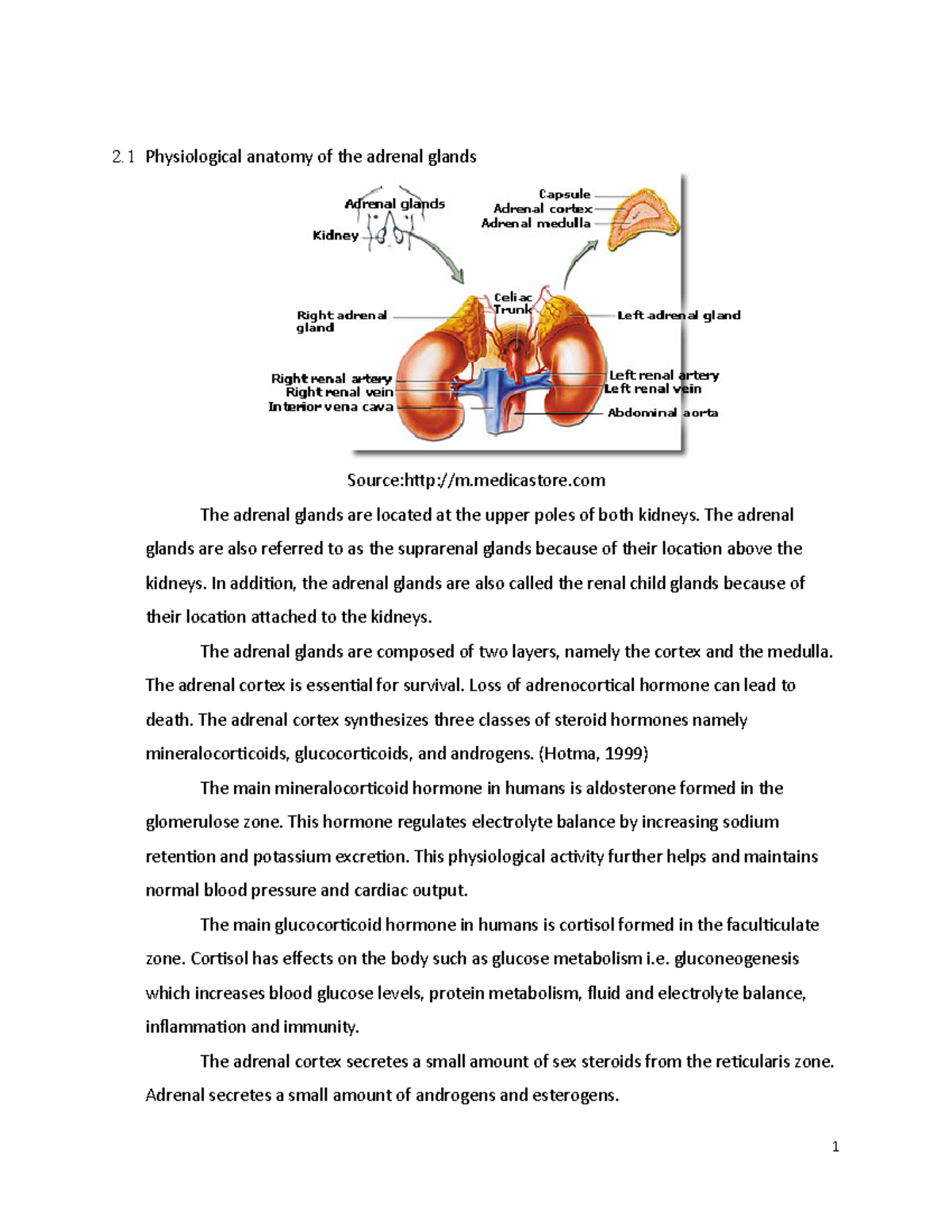 Cushing syndrome reference 2 Physiological anatomy of the adrenal glands Sourcem.medicastore