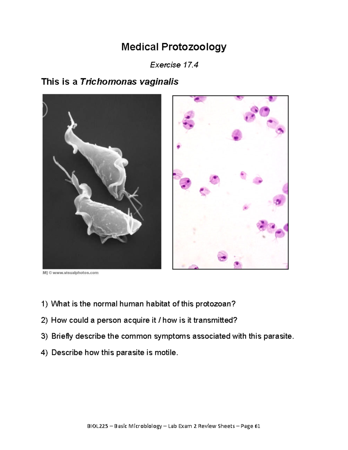 Lab Exam Review 2BMW14 d08da581a0406a00b0ae07e205e8436e copy 28