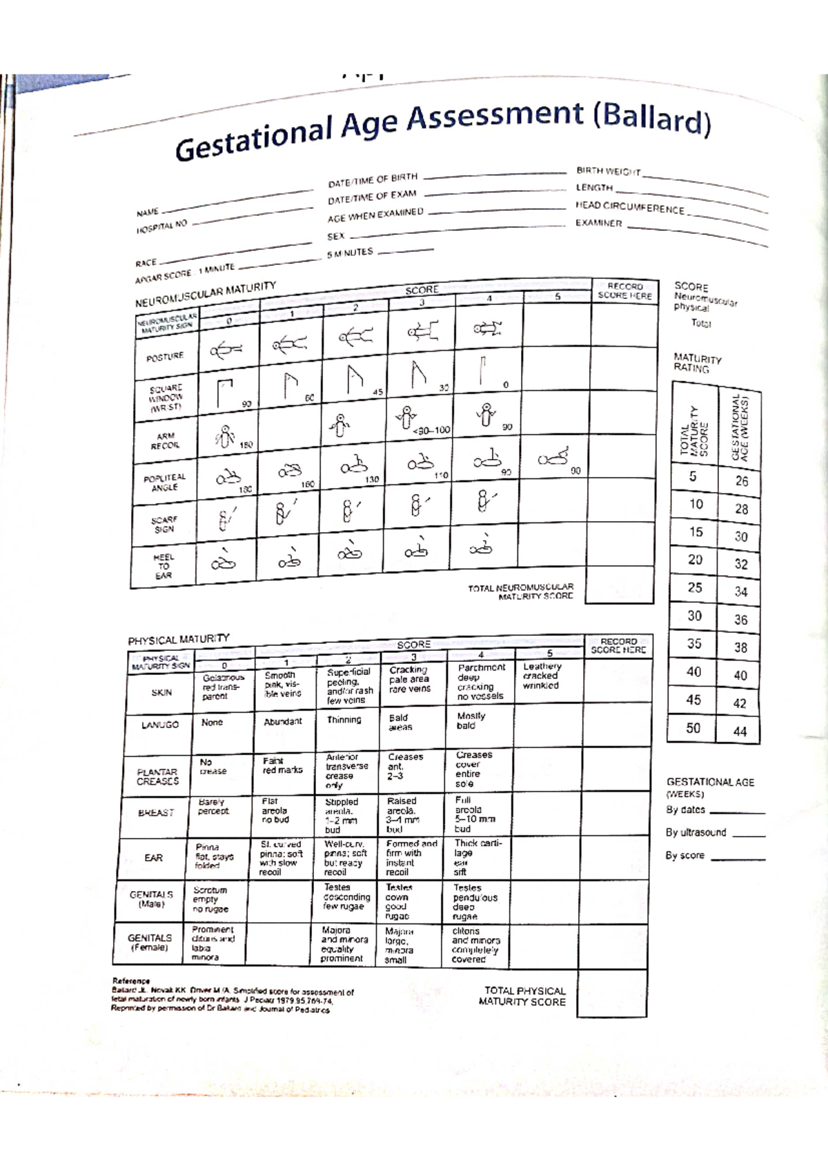 Ballard Scale Gestational Age Assessment - Nursing - Studocu