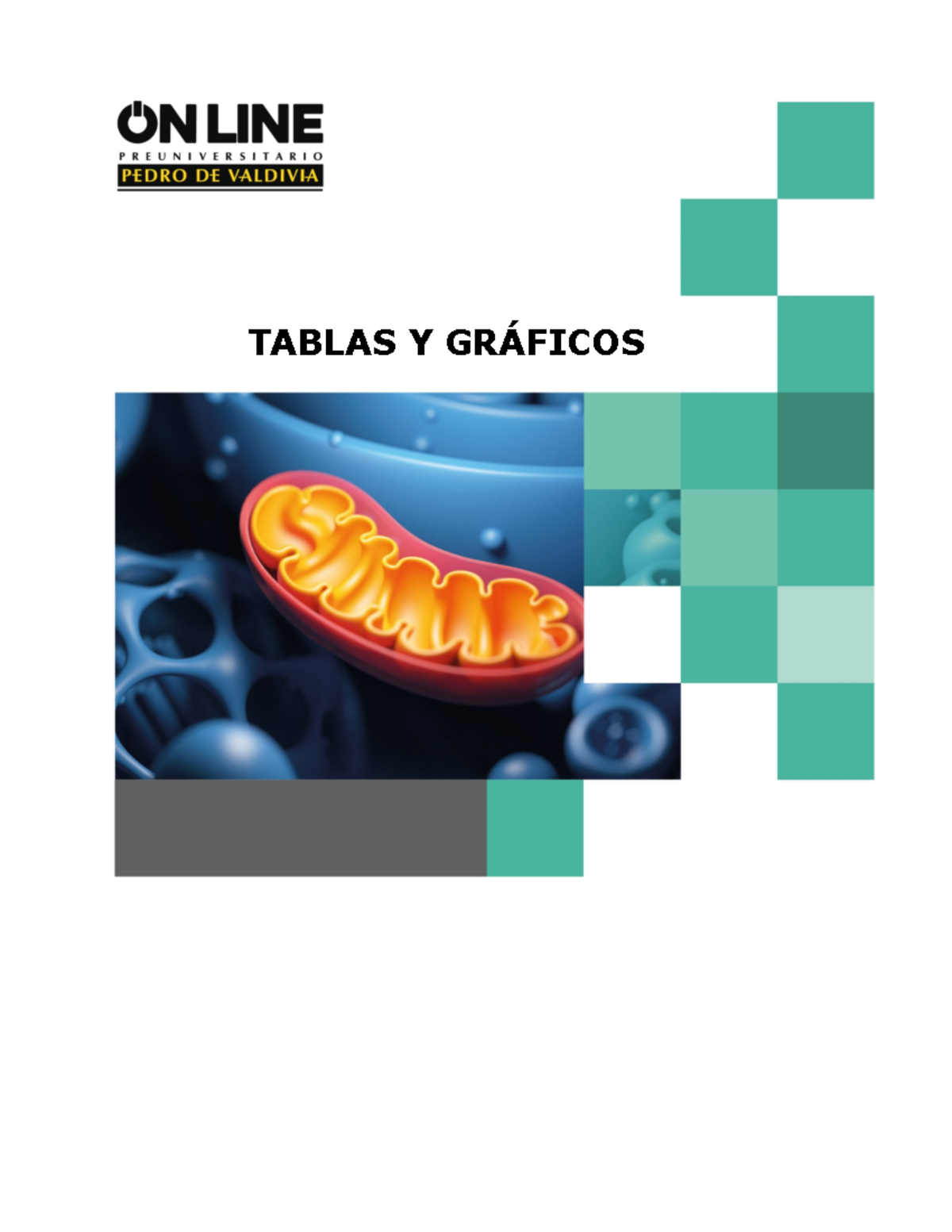 1.1.2 Tablas Y Gr Ã¡ficos - TABLAS Y GRÁFICOS CAPÍTULO I: ORGANIZACIÓN ...