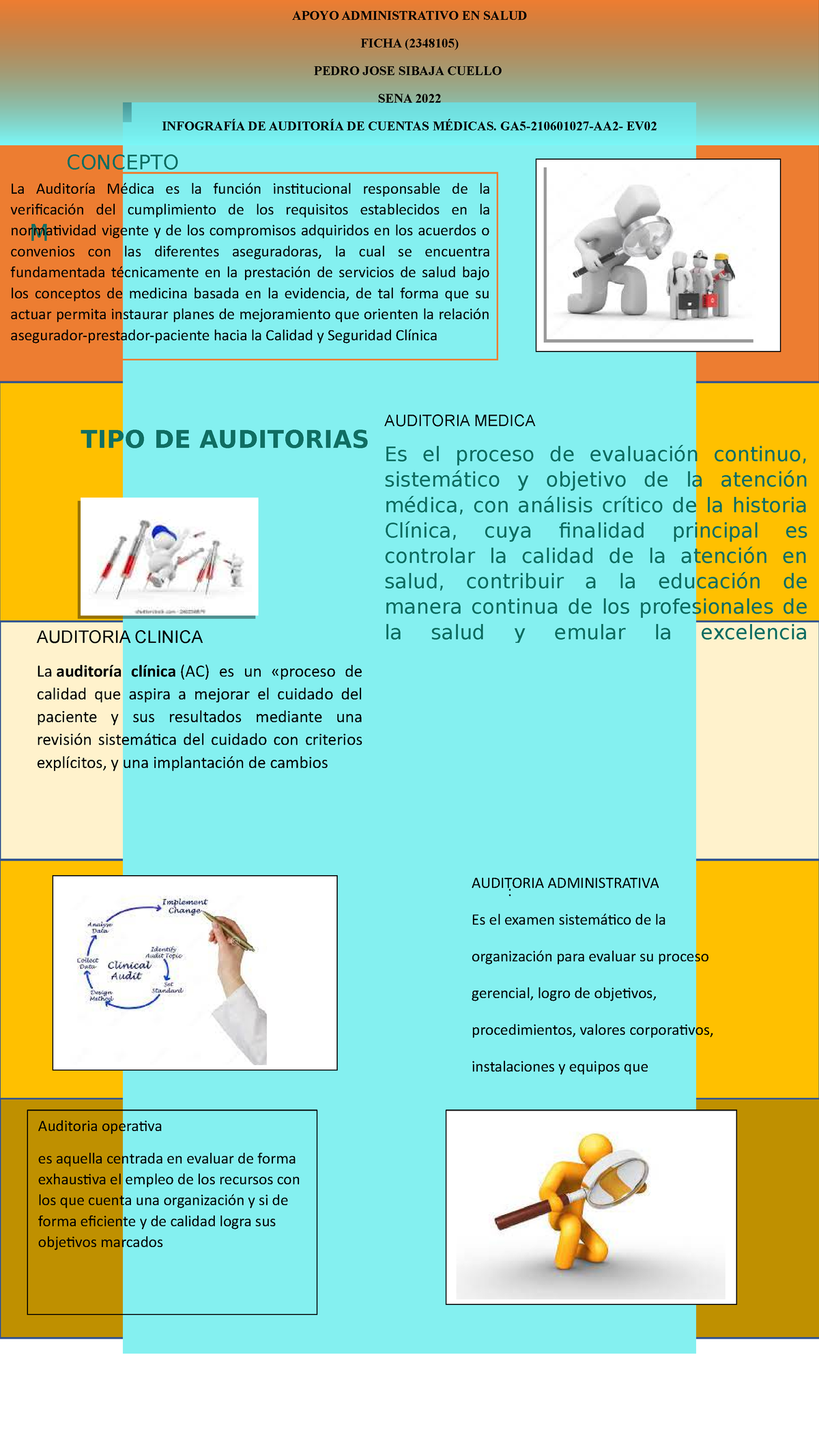 Infografia Auditoria Docsity 5827