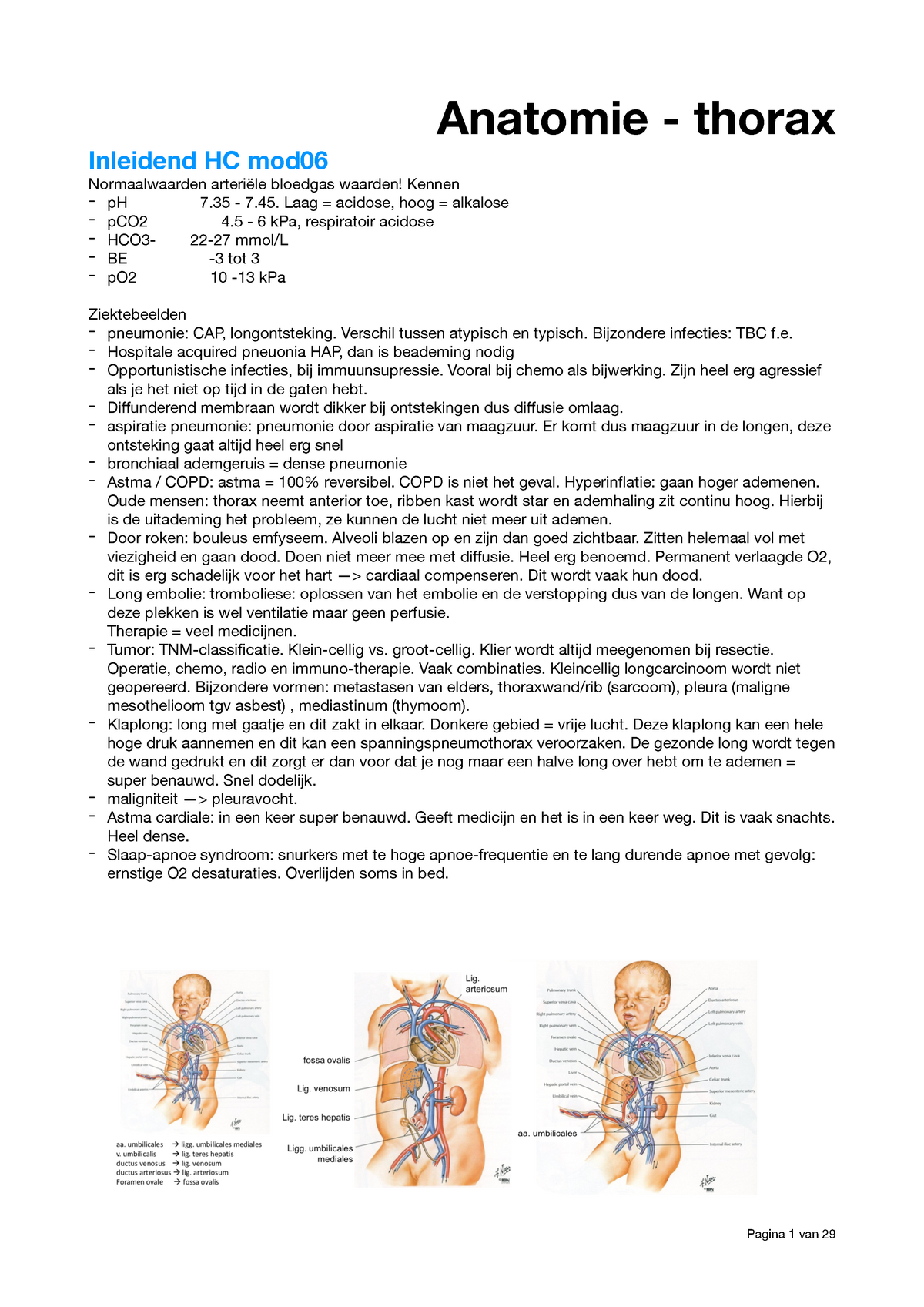 Anatomie Hart En Longen - Anatomie - Thorax Inleidend HC Mod ...