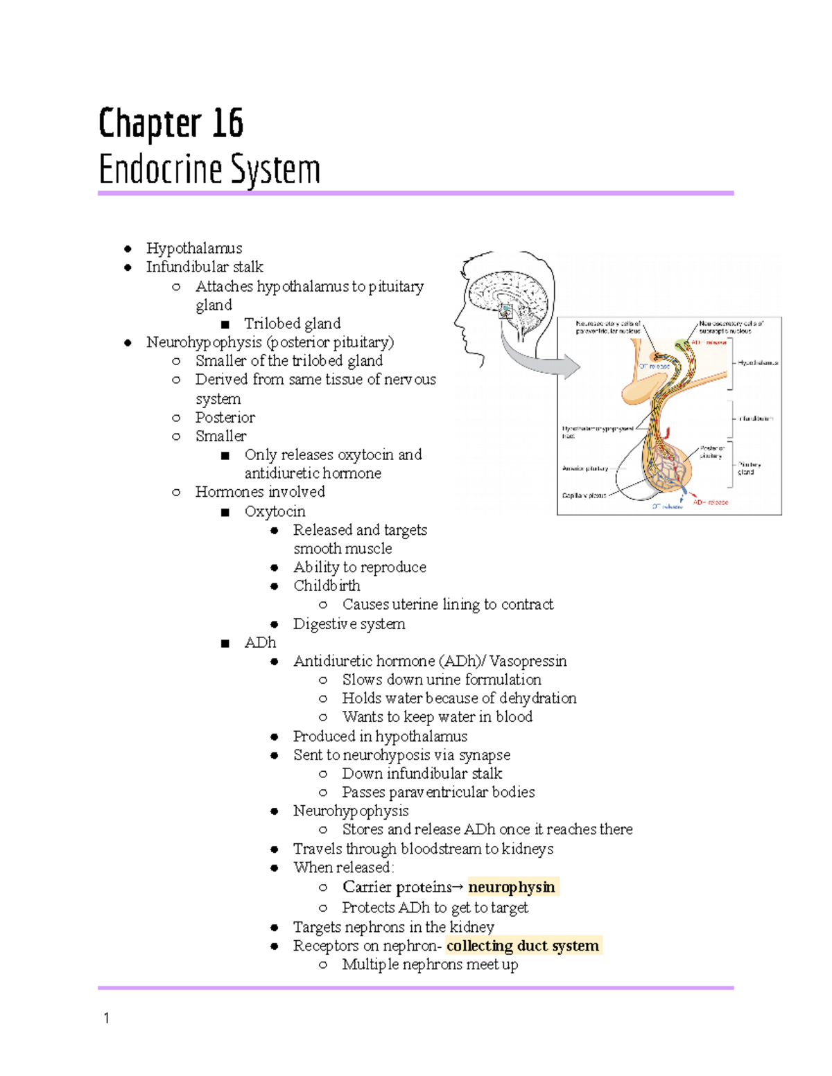 endocrine system thesis topics