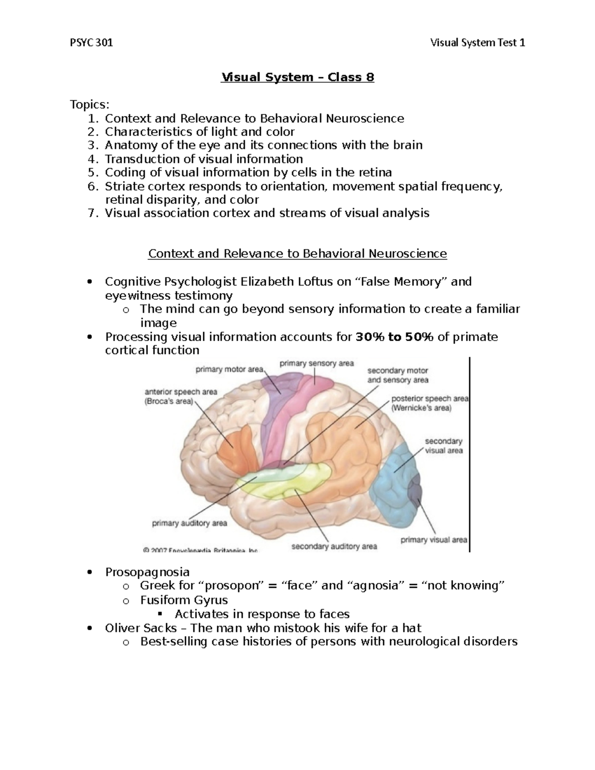 Visual System - test 1 - Ralph Lydic, Ph.D. and Helen A. Baghdoyan, Ph ...