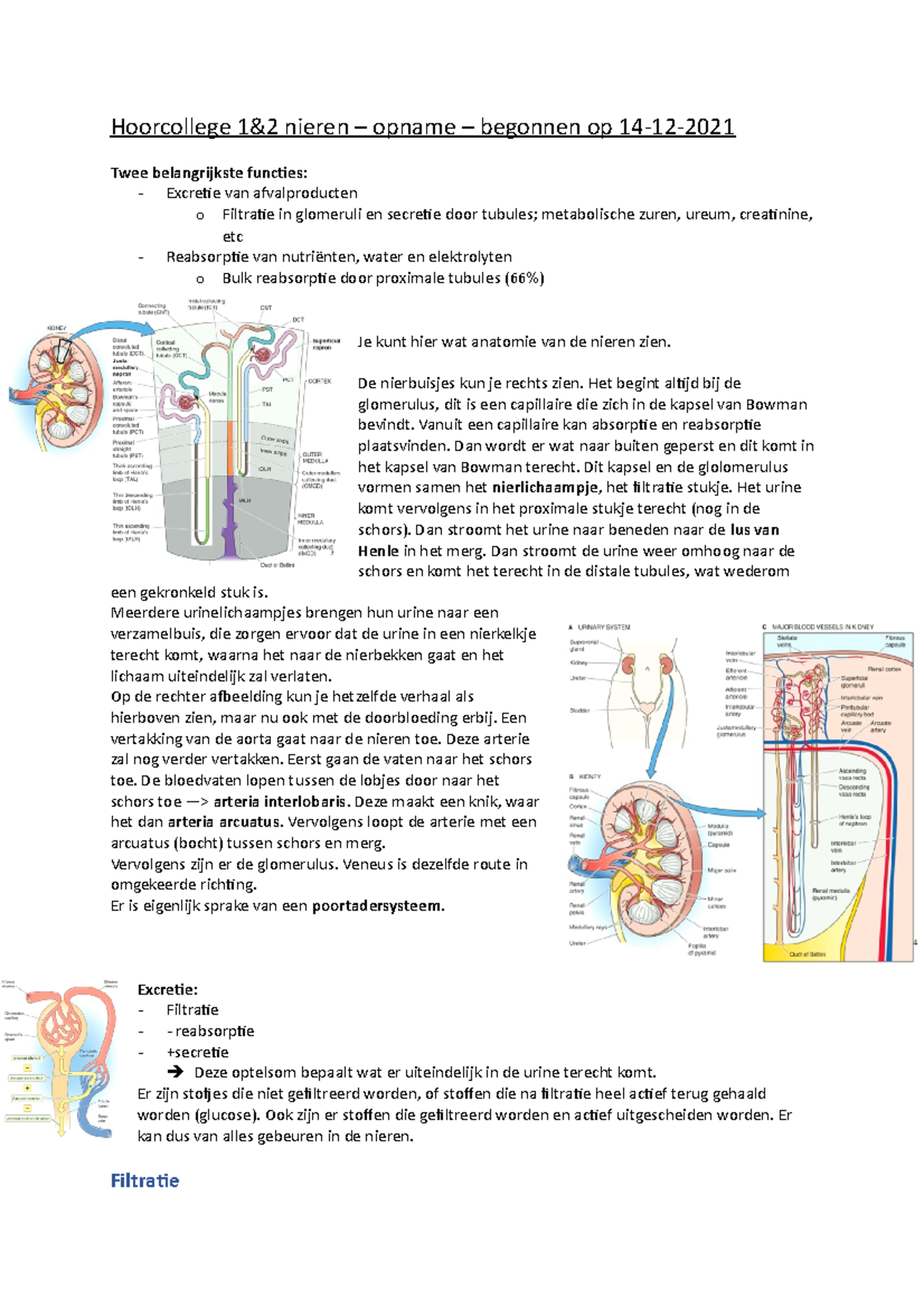 Orgaansystemen Hoorcollege 1&2 - Adem - Hoorcollege 1&2 Nieren – Opname ...