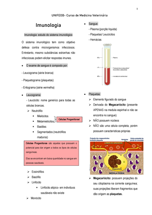 Resumo De Imunologia Básica - Imunologia Imunologia: Estudo Do Sistema ...