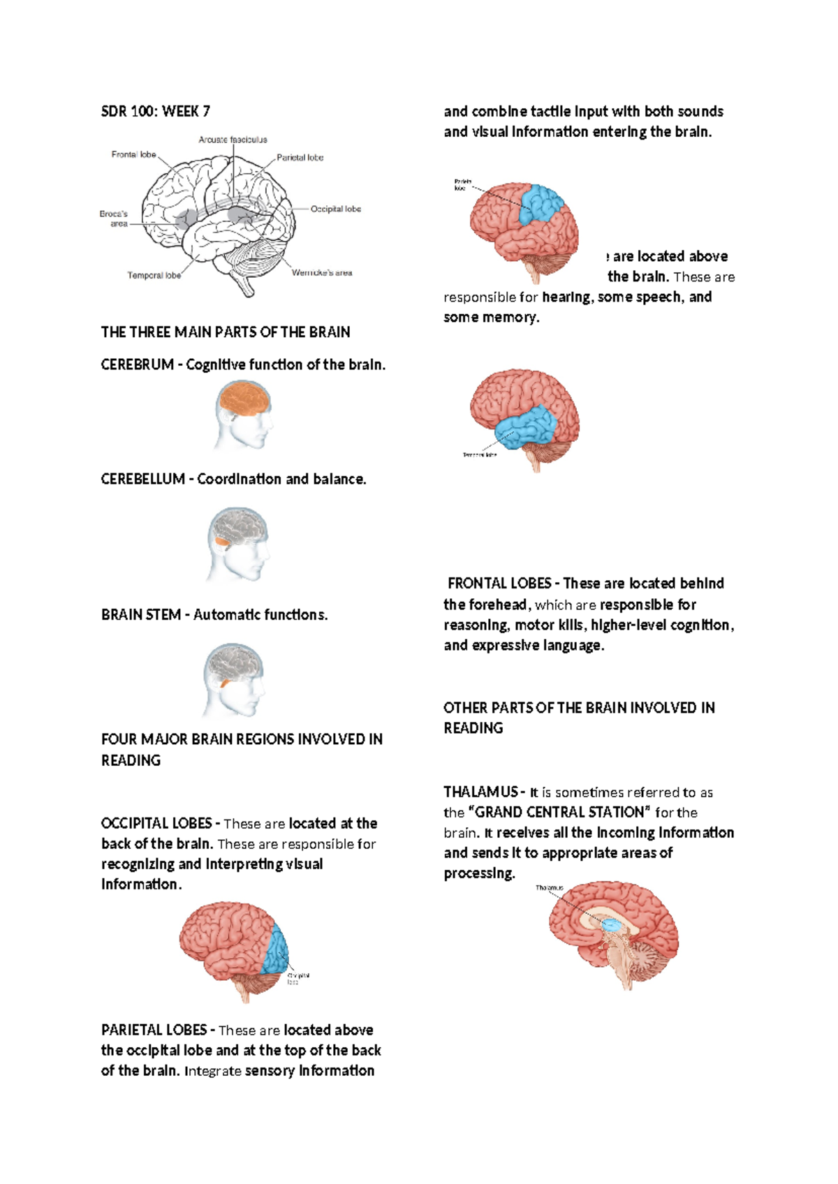 SDR 100 Midterm - notes - SDR 100: WEEK 7 THE THREE MAIN PARTS OF THE ...