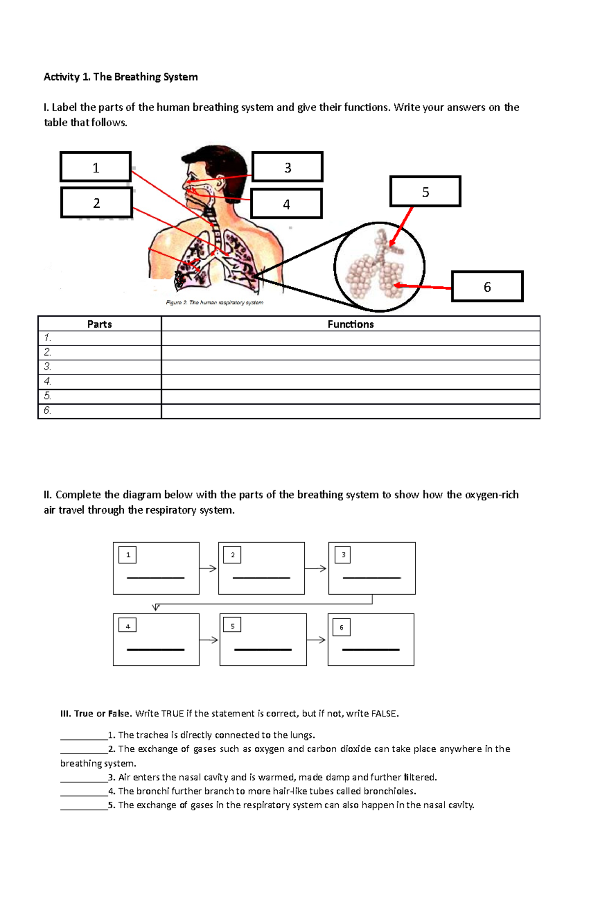 Module 1-Activity 1 - An activity about Parts of Respiratory System ...