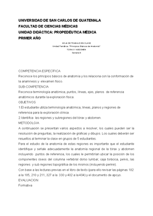 Funciones DEL Inacif - UNIVERSIDAD REGIONAL DE GUATEMALA SEDE SALCAJA ...