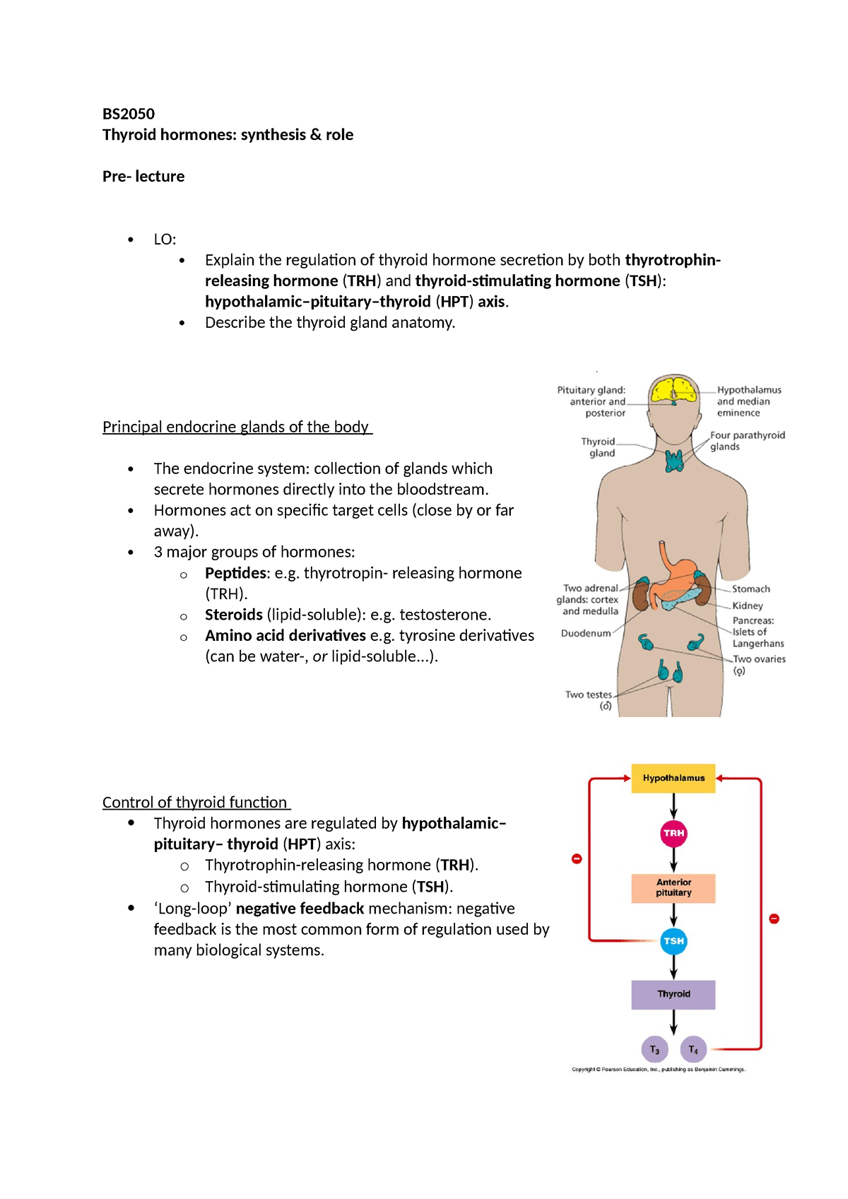 Lec 5-6 - lecture notes - BS Thyroid hormones: synthesis & role Pre ...