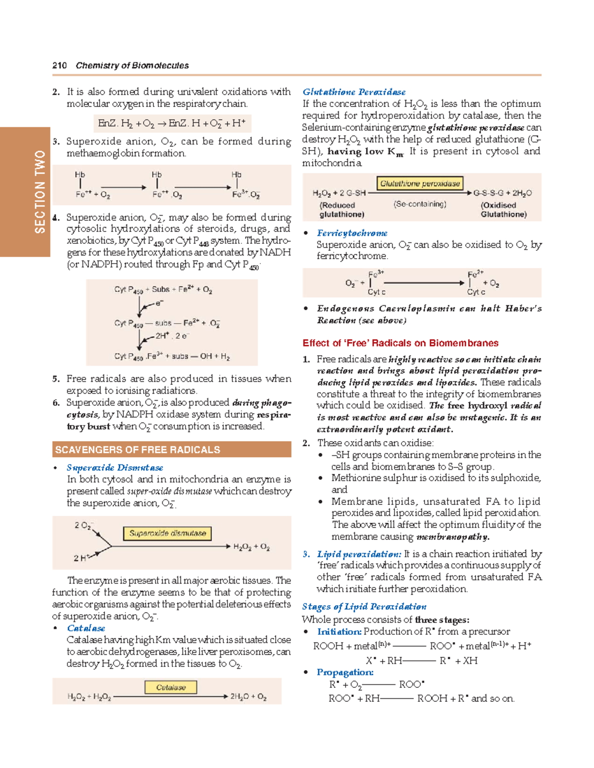 Textbook of Medical104 SECTION TWO 210 Chemistry of Biomolecules It