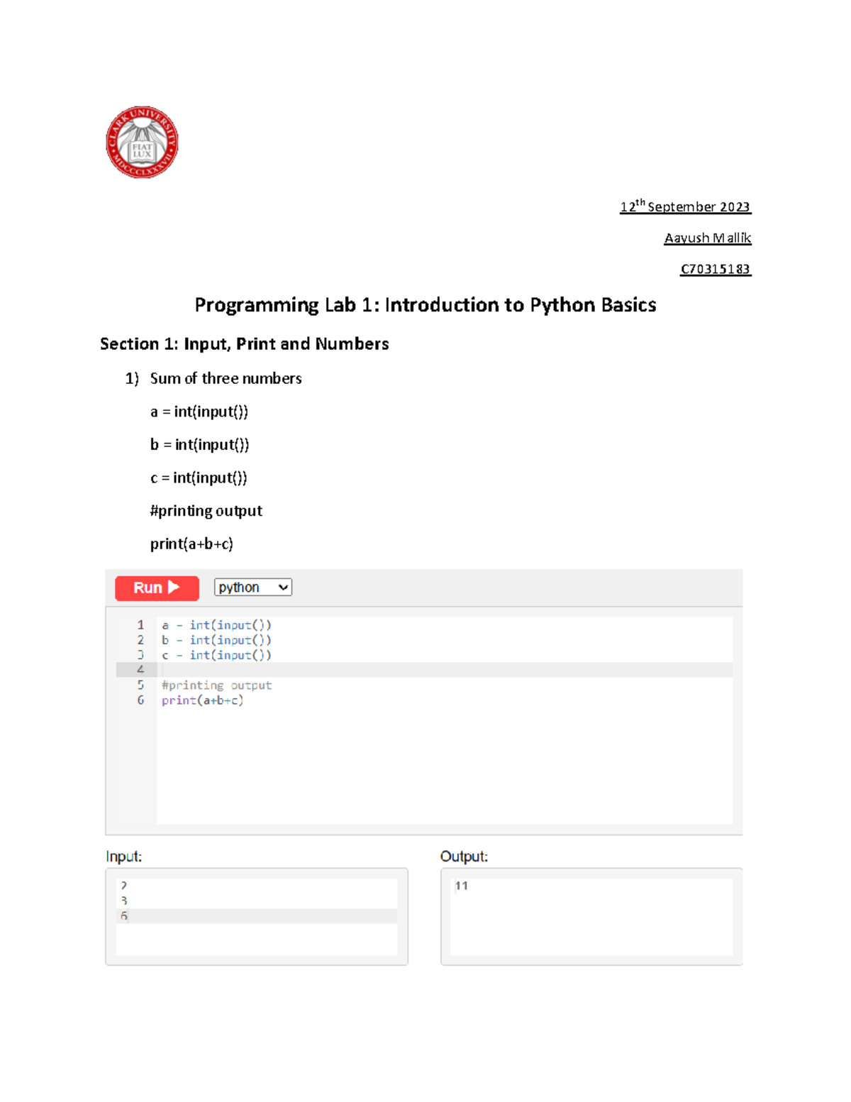 python programming lab assignments