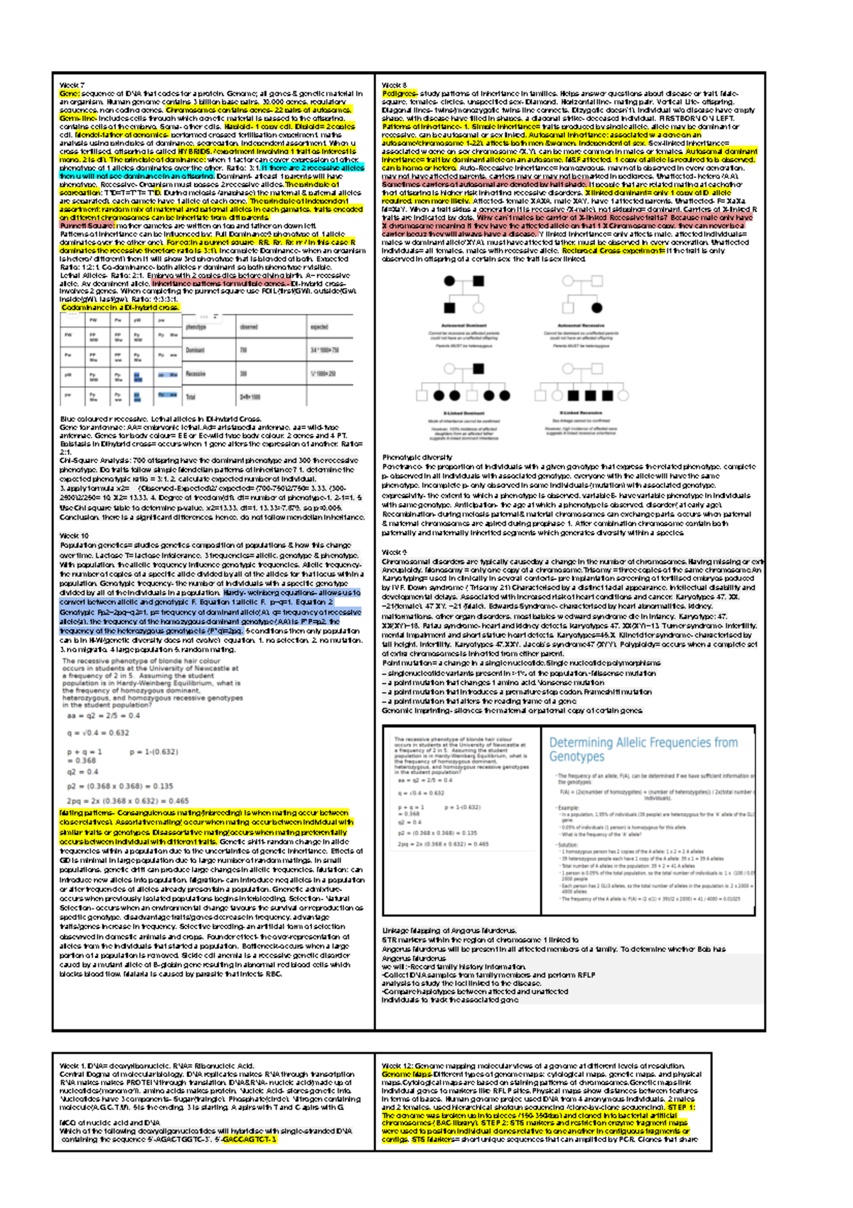 Genomic Cheatsheet - good - Week 7 Gene: sequence of DNA that codes for ...