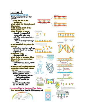 BIOL 445 Paper RNAi - RNA Interference: Biological Function and ...