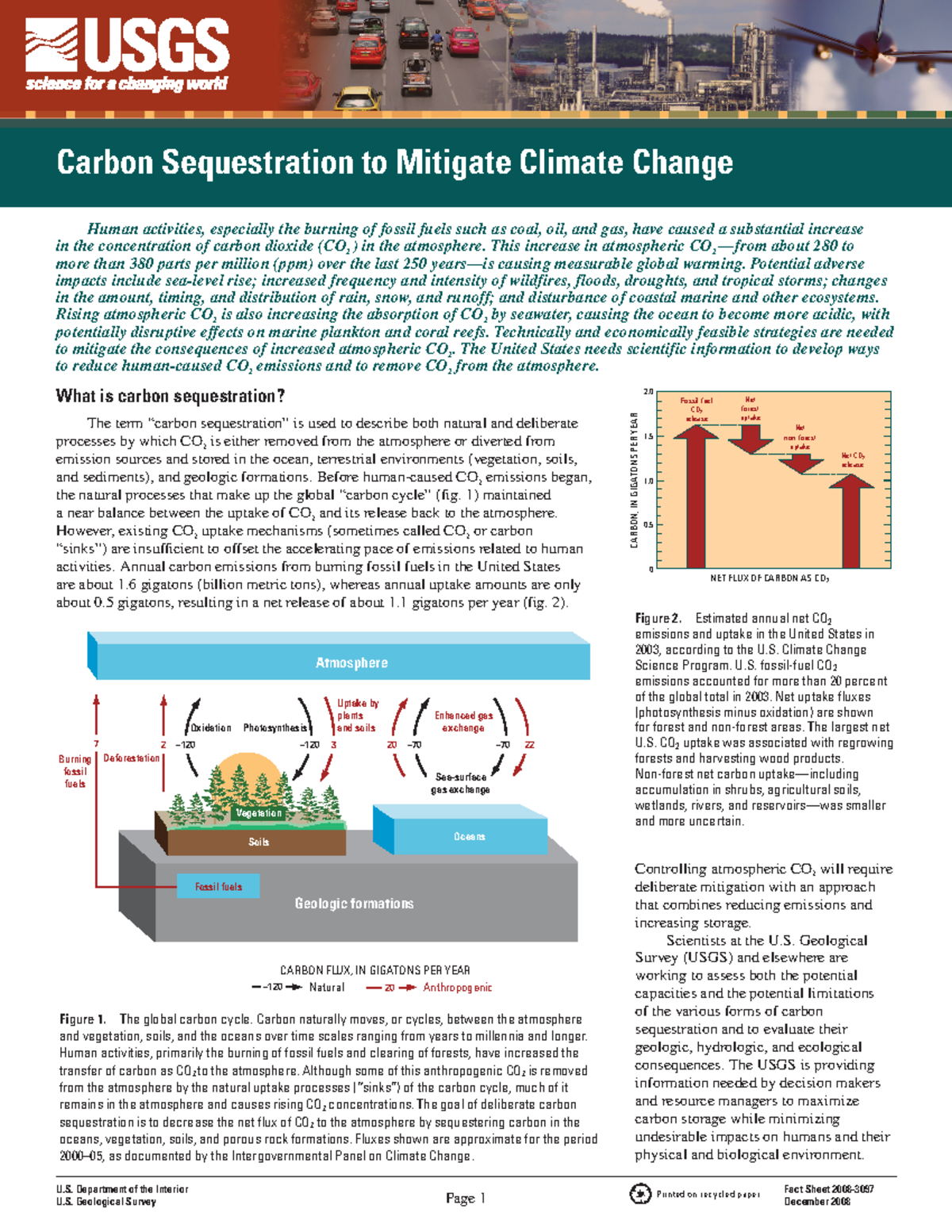 Carbon FS - Notes - Carbon Sequestration to Mitigate Climate Change ...