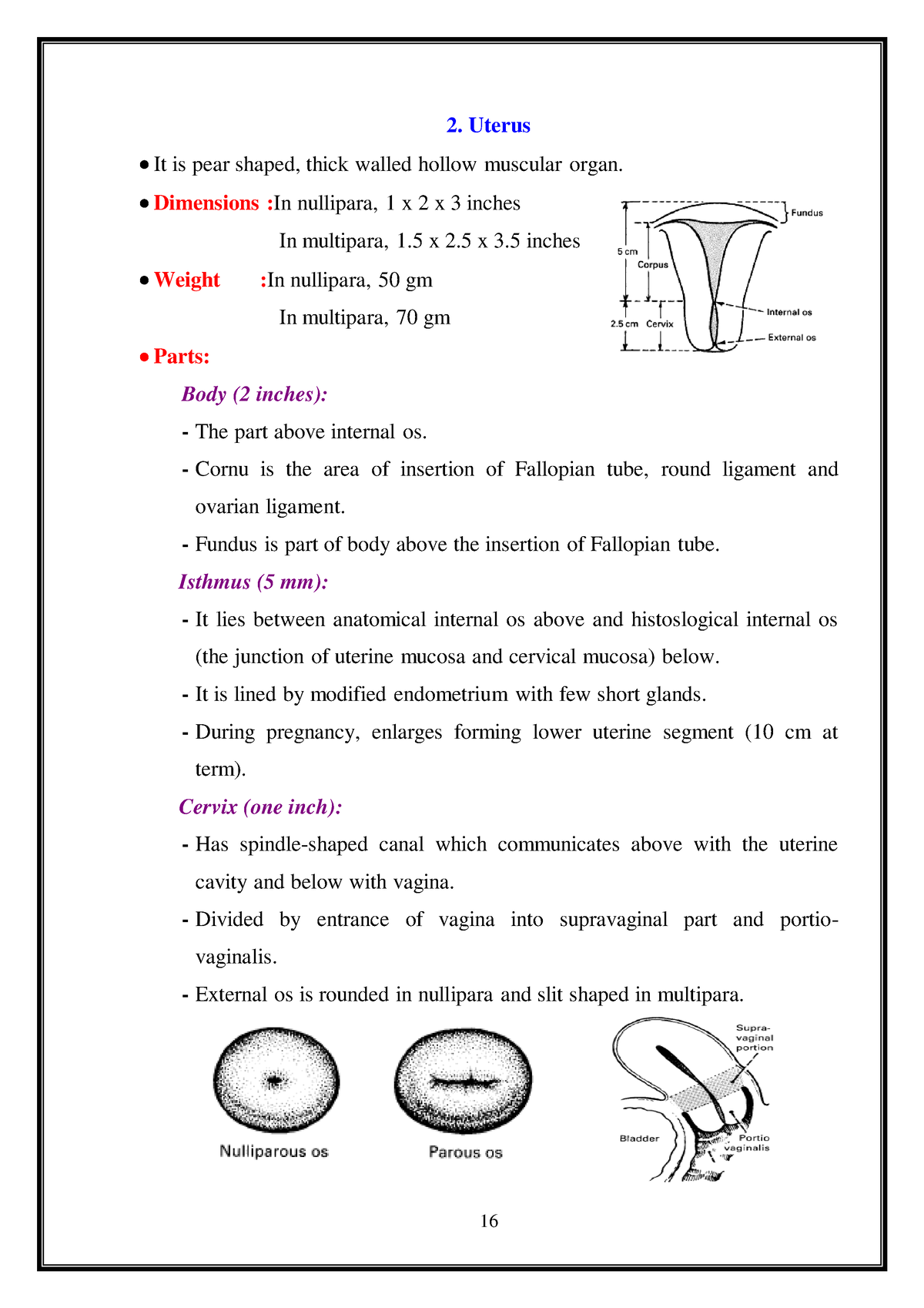 Reproductive 1 16 22 Female Genital Embryology And Normal Developement Of Female Genital