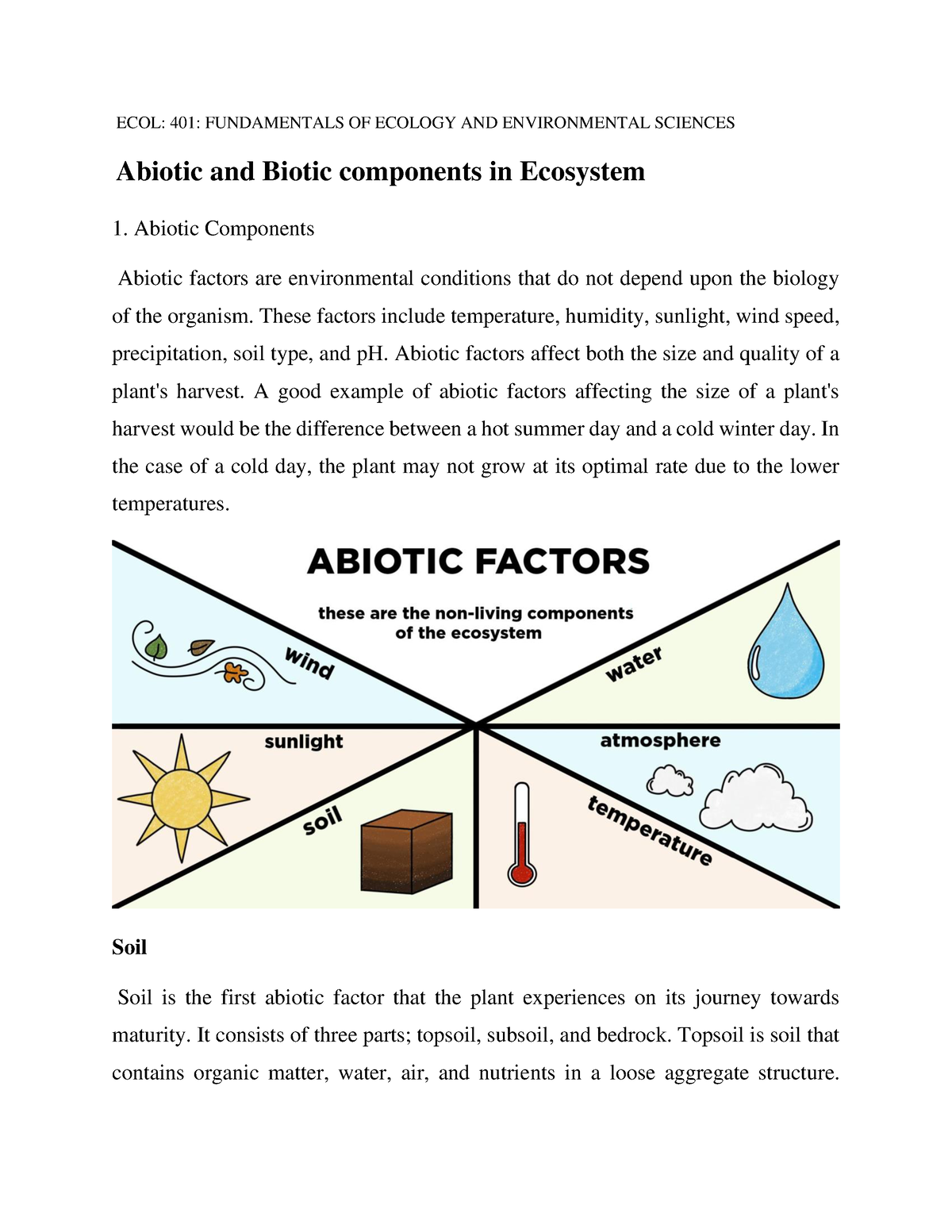 Abiotic And Biotic Components Of Ecosystem - ECOL: 401: FUNDAMENTALS OF ...