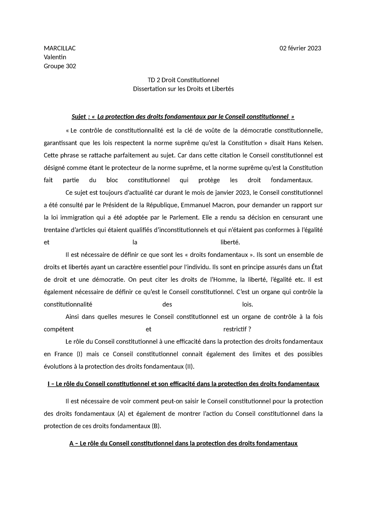 le conseil constitutionnel dissertation juridique