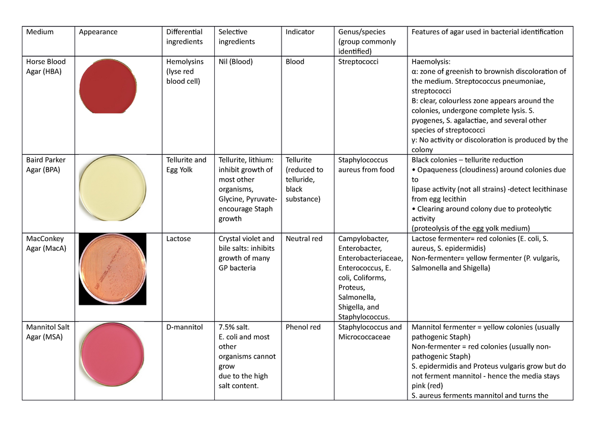 microbiology-agar-chart