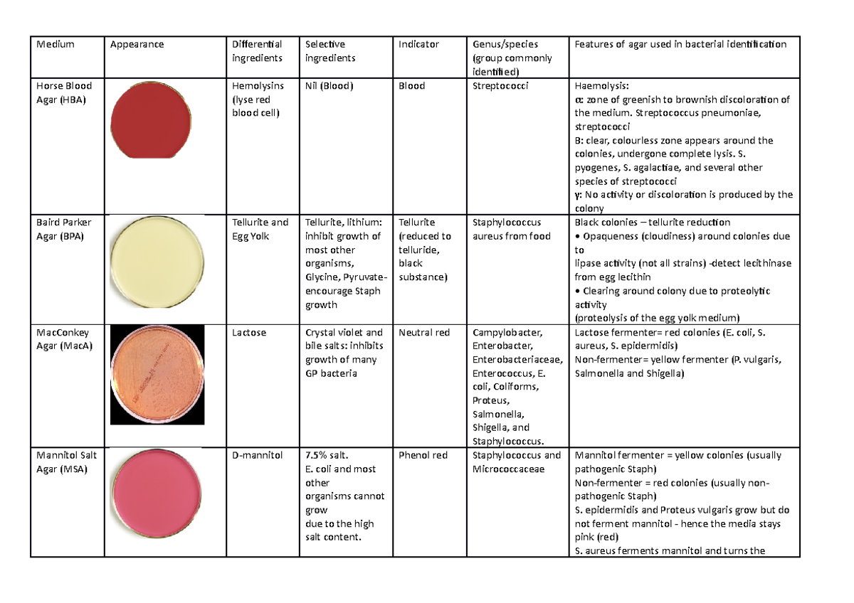 Microbiology Agar Chart