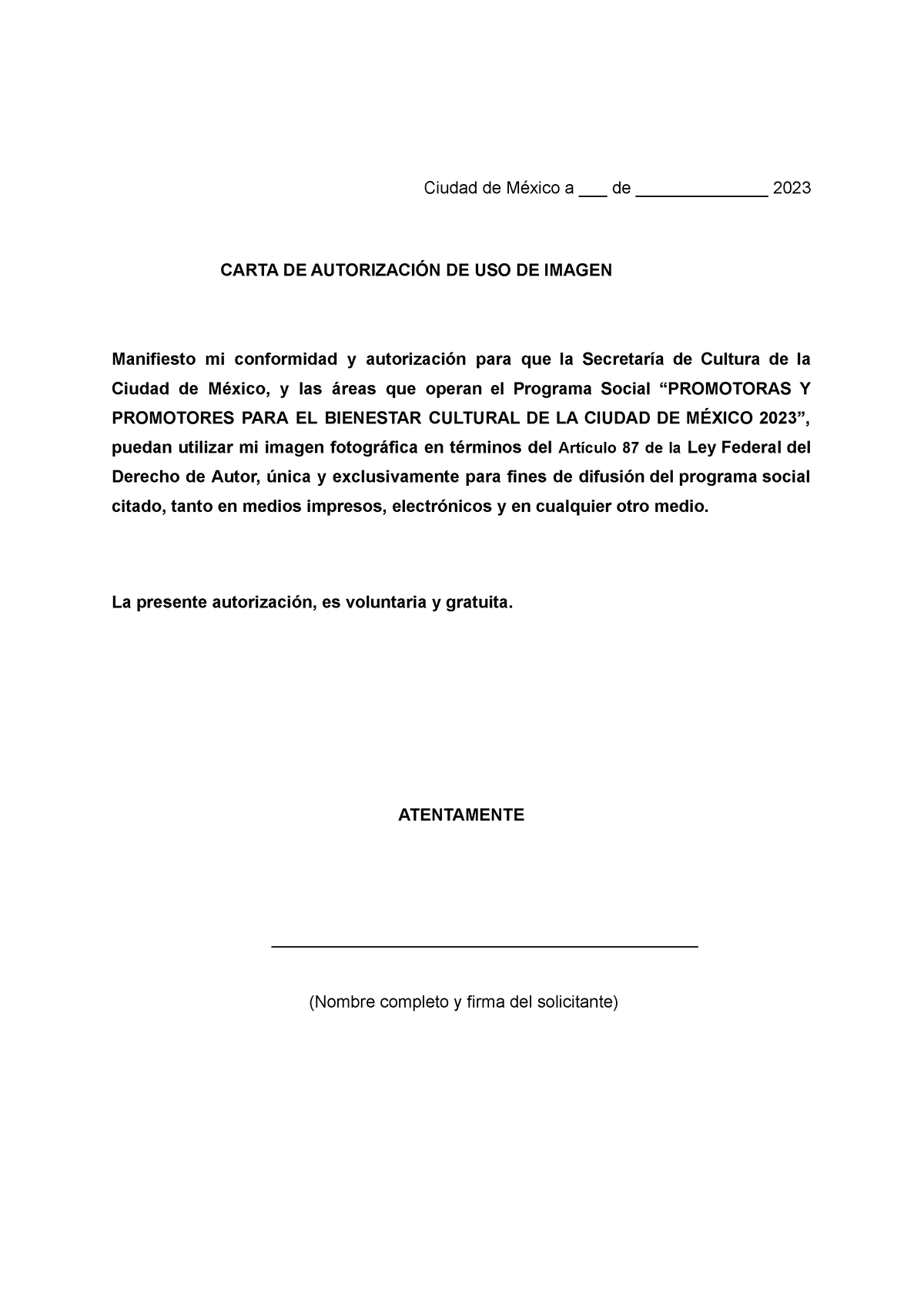 Carta De Autorización De Uso De Imagen Promotoras Y Promotores Ciudad