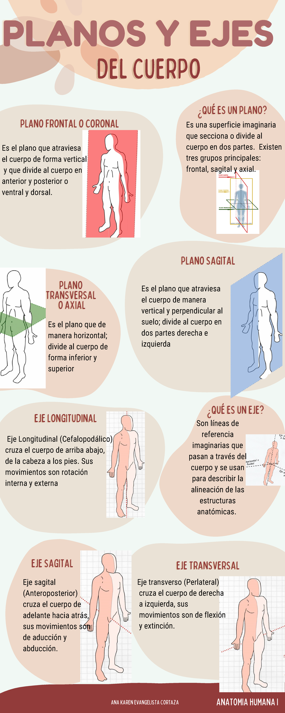 eje longitudinal del cuerpo