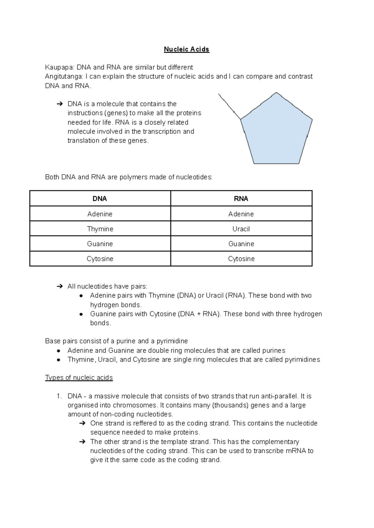 Gene Expression AS91159 Nucleic Acids Kaupapa DNA and RNA are