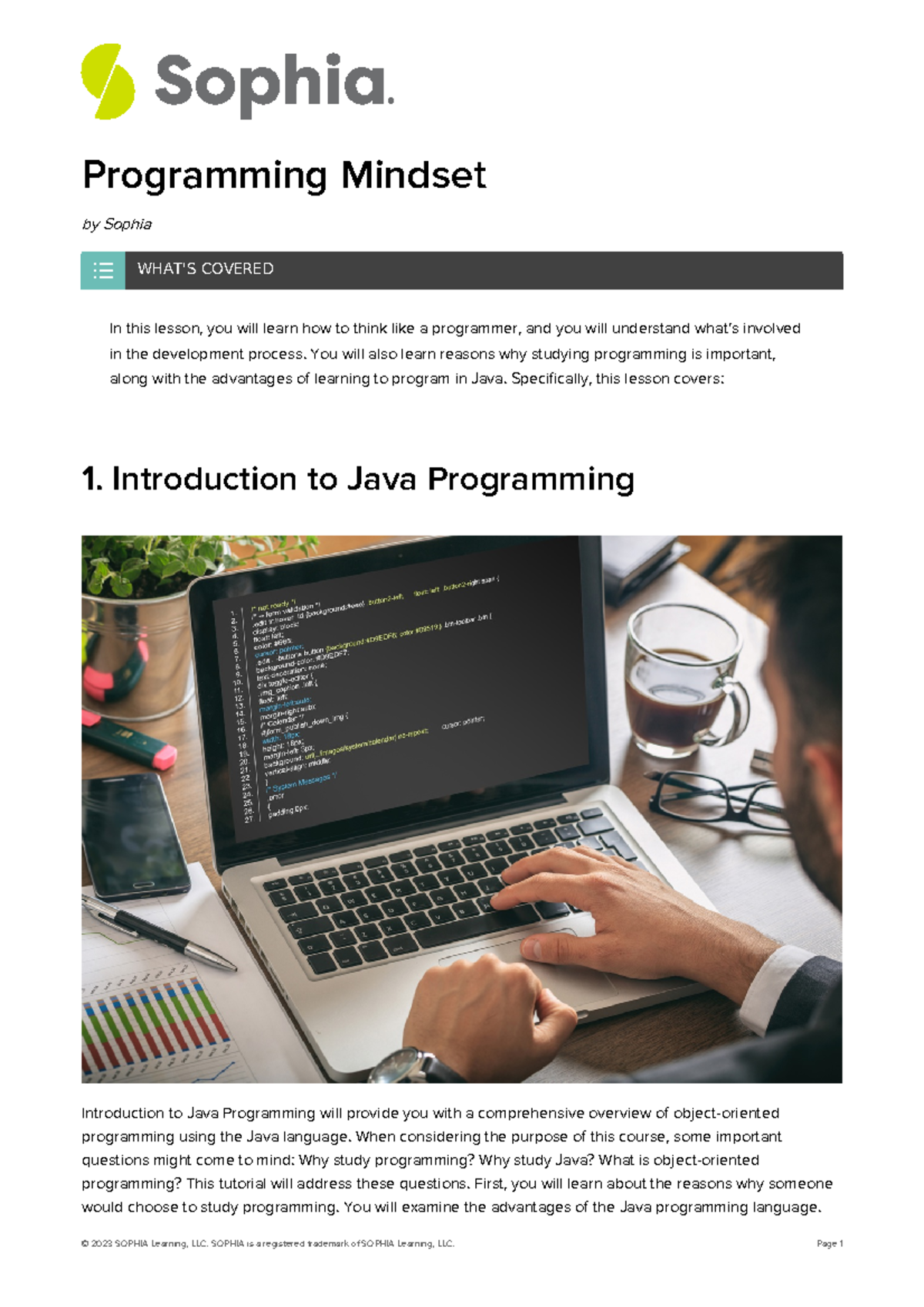 Programming-mindset-2 - Programming Mindset by Sophia In this lesson ...