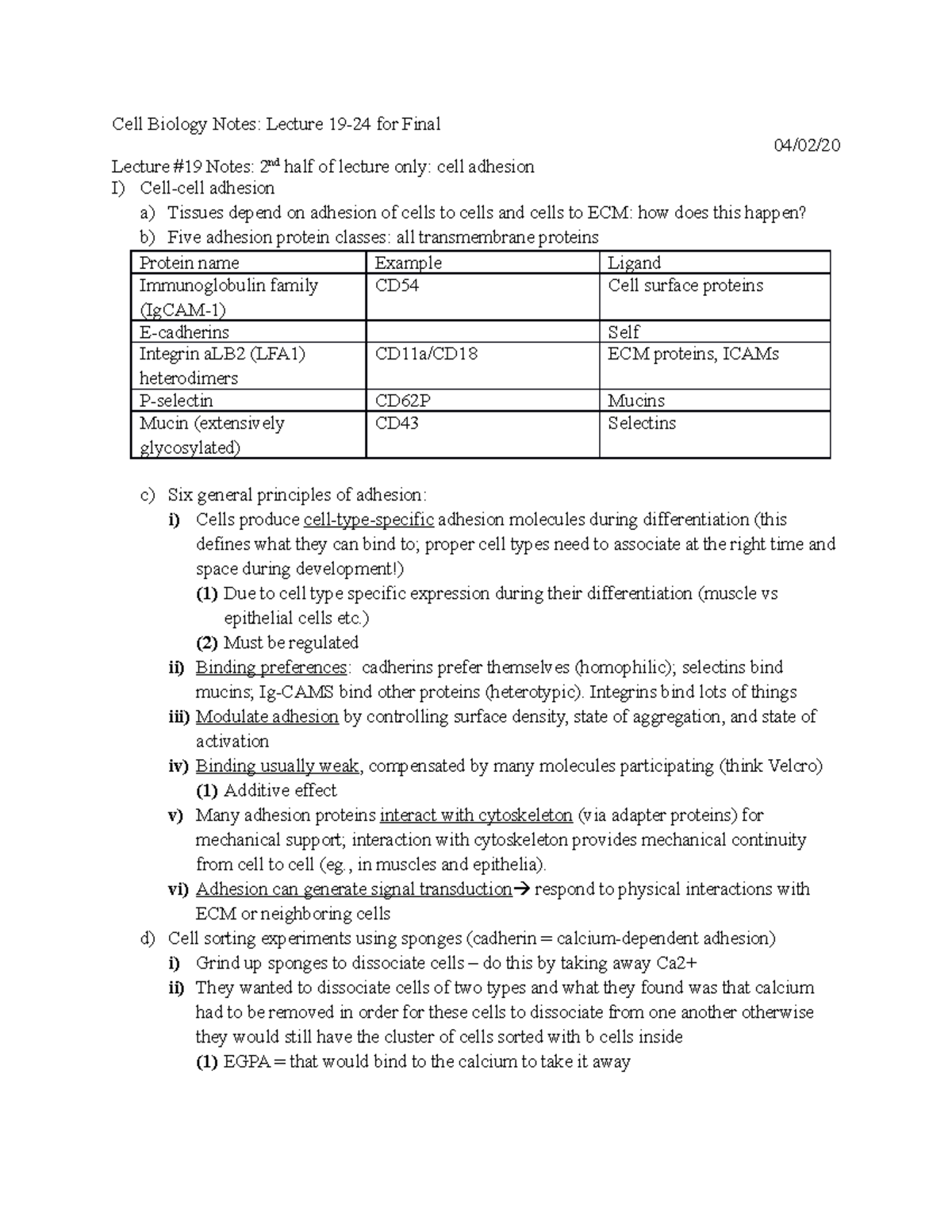 Cell bio final notes - Cell Biology Notes: Lecture 19-24 for Final 04 ...