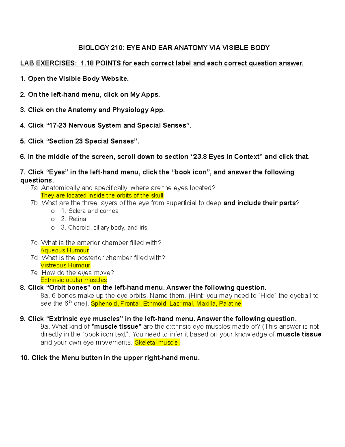 Biology 210 Eye and Ear Anatomy Lab Exercises Studocu