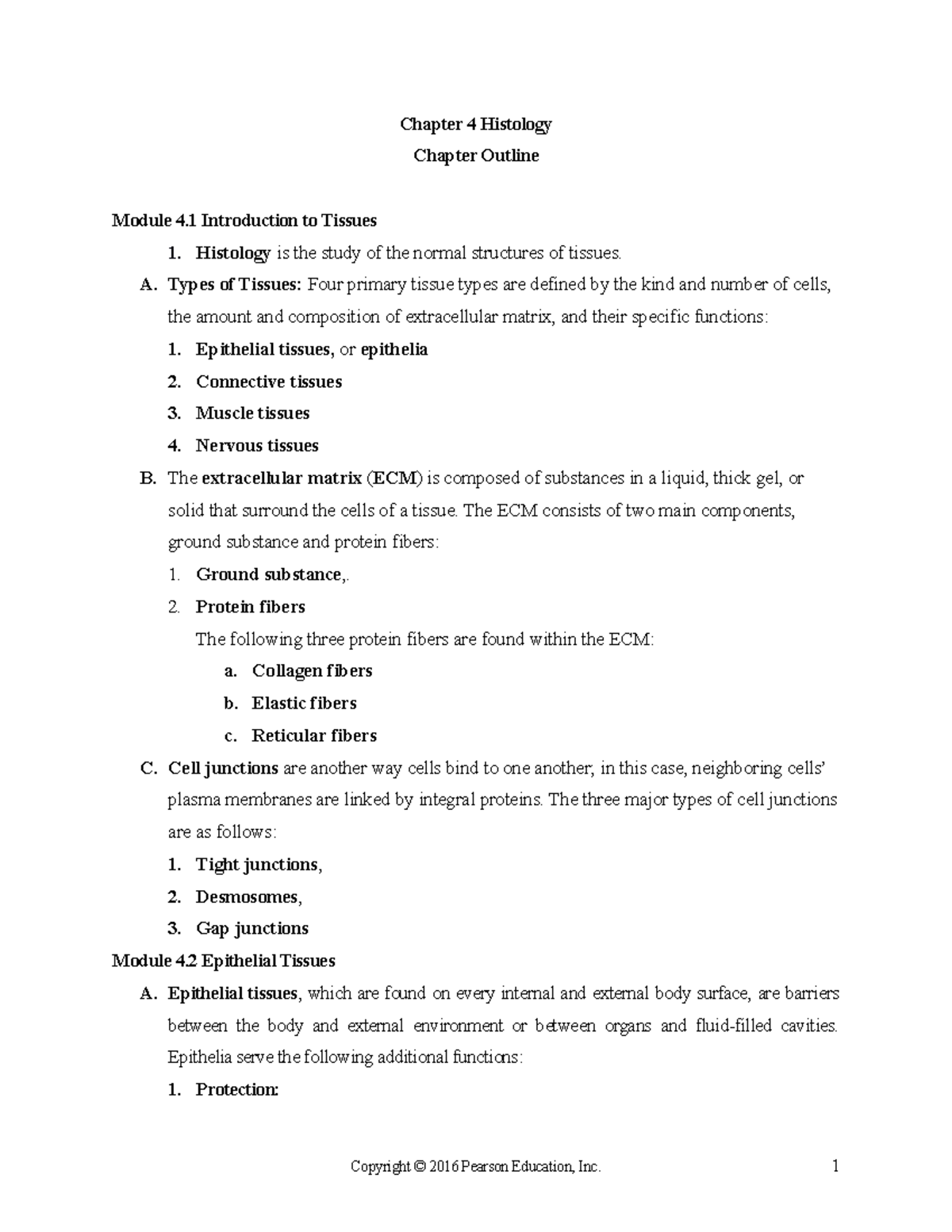 Chapter 4 Amerman Outline Student Version - Chapter 4 Histology Chapter ...