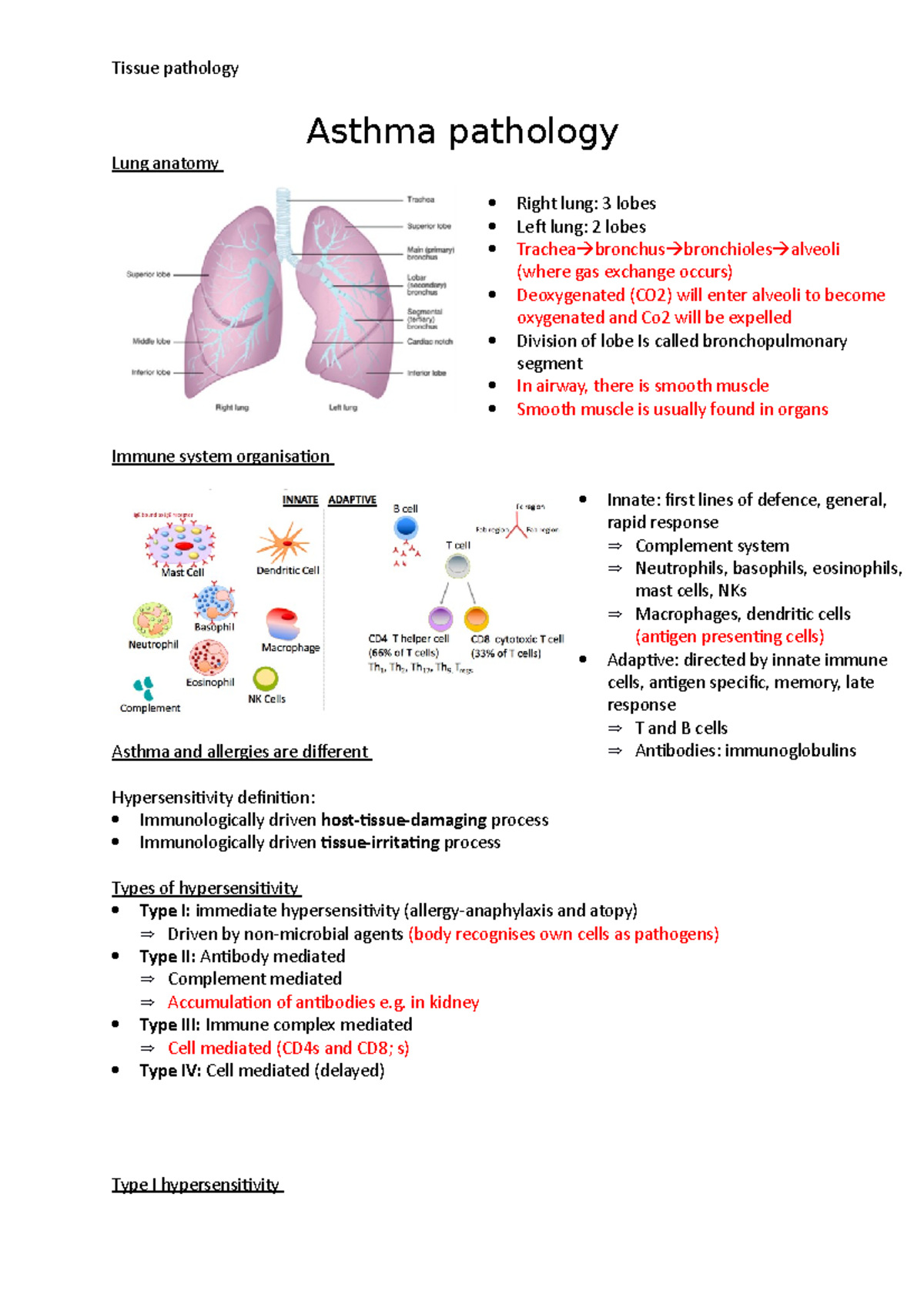 Tissue pathology-Asthma - Asthma pathology Lung anatomy Immune system ...