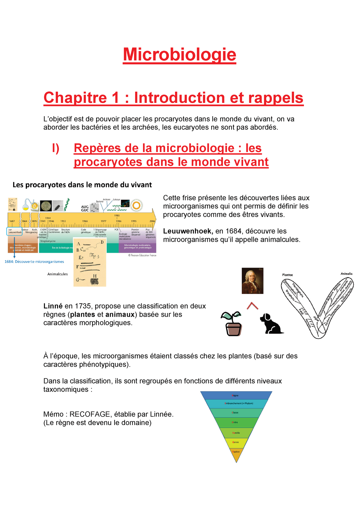 Microbiologie - Microbiologie Chapitre 1 : Introduction Et Rappels L’objectif Est De Pouvoir ...