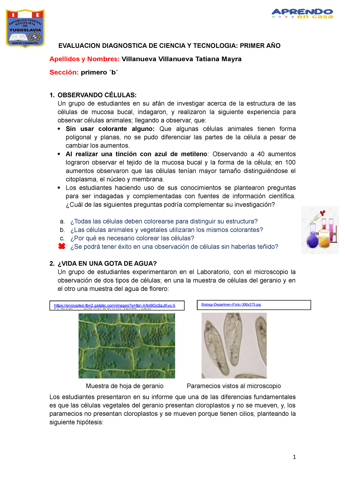 EVAL. DIAG. Primero-2022 - EVALUACION DIAGNOSTICA DE CIENCIA Y ...