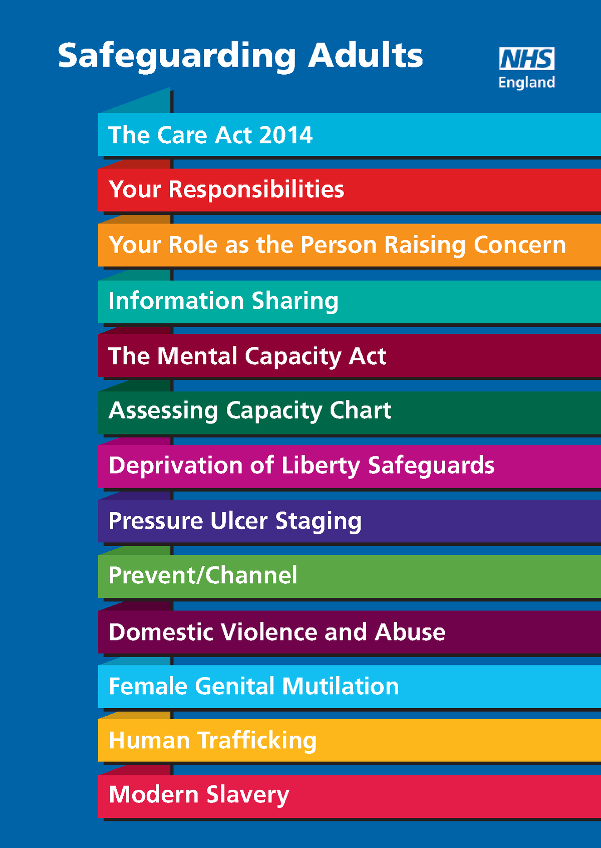 adult-pocket-guide-study-safeguarding-adults-the-care-act-2014-your