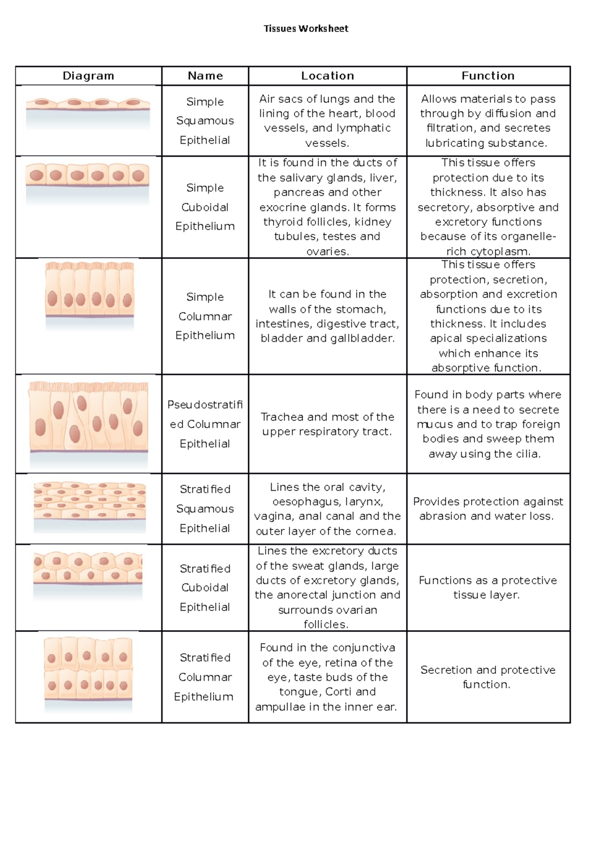 Tissues Worksheet - Lecture notes 3.5 - Tissues Worksheet Diagram Name ...