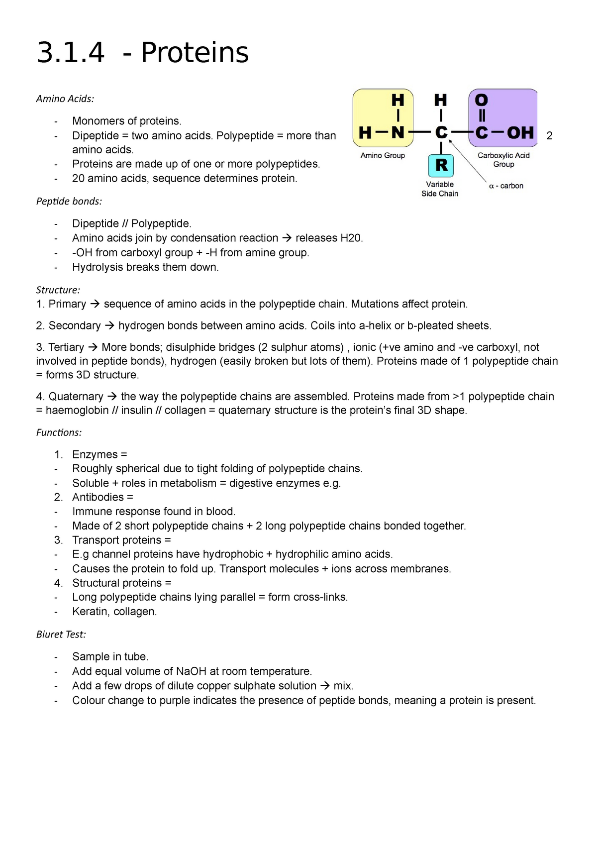 a level biology essay proteins