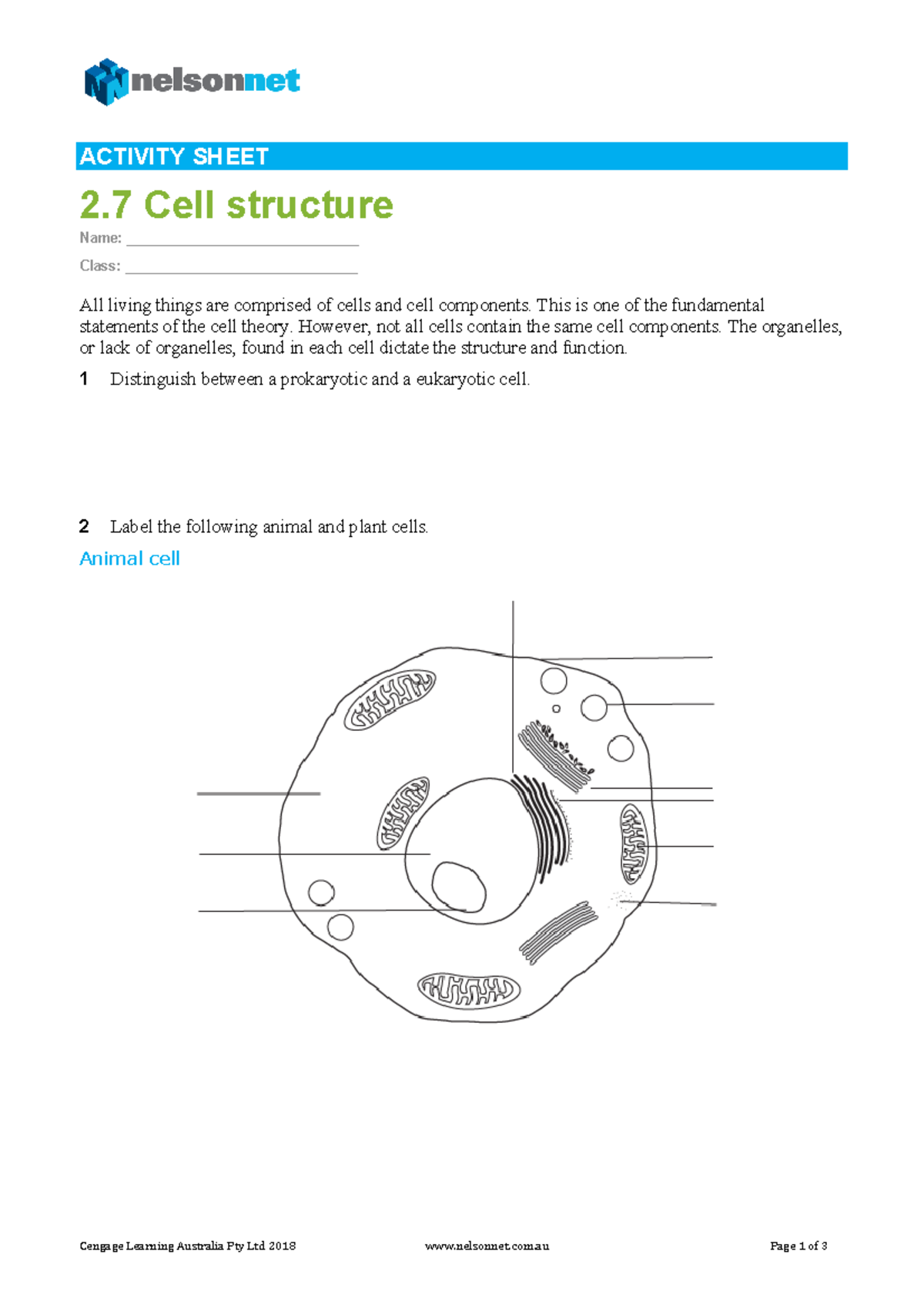 Image 8 for Cells And Their Organelles Worksheet