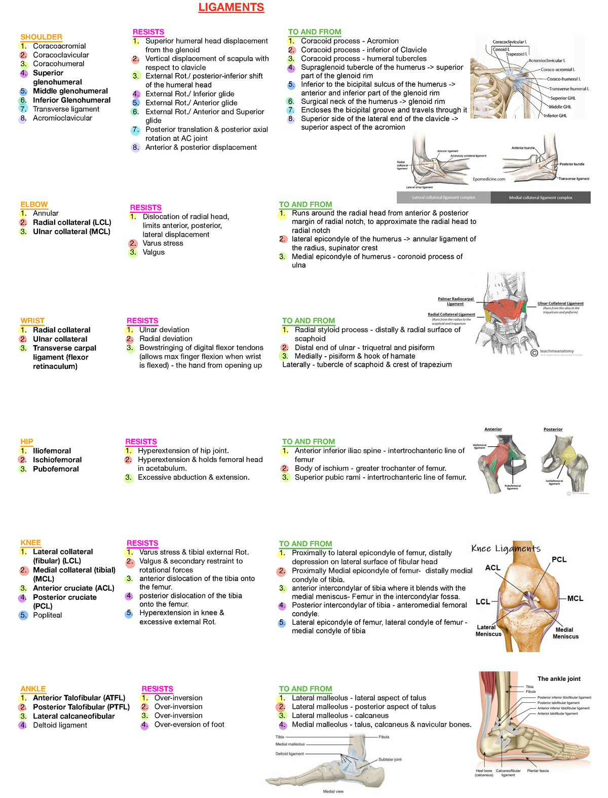 Physiotherapy - Ligaments - Anatomy - LIGAMENTS SHOULDER Coracoacromial ...