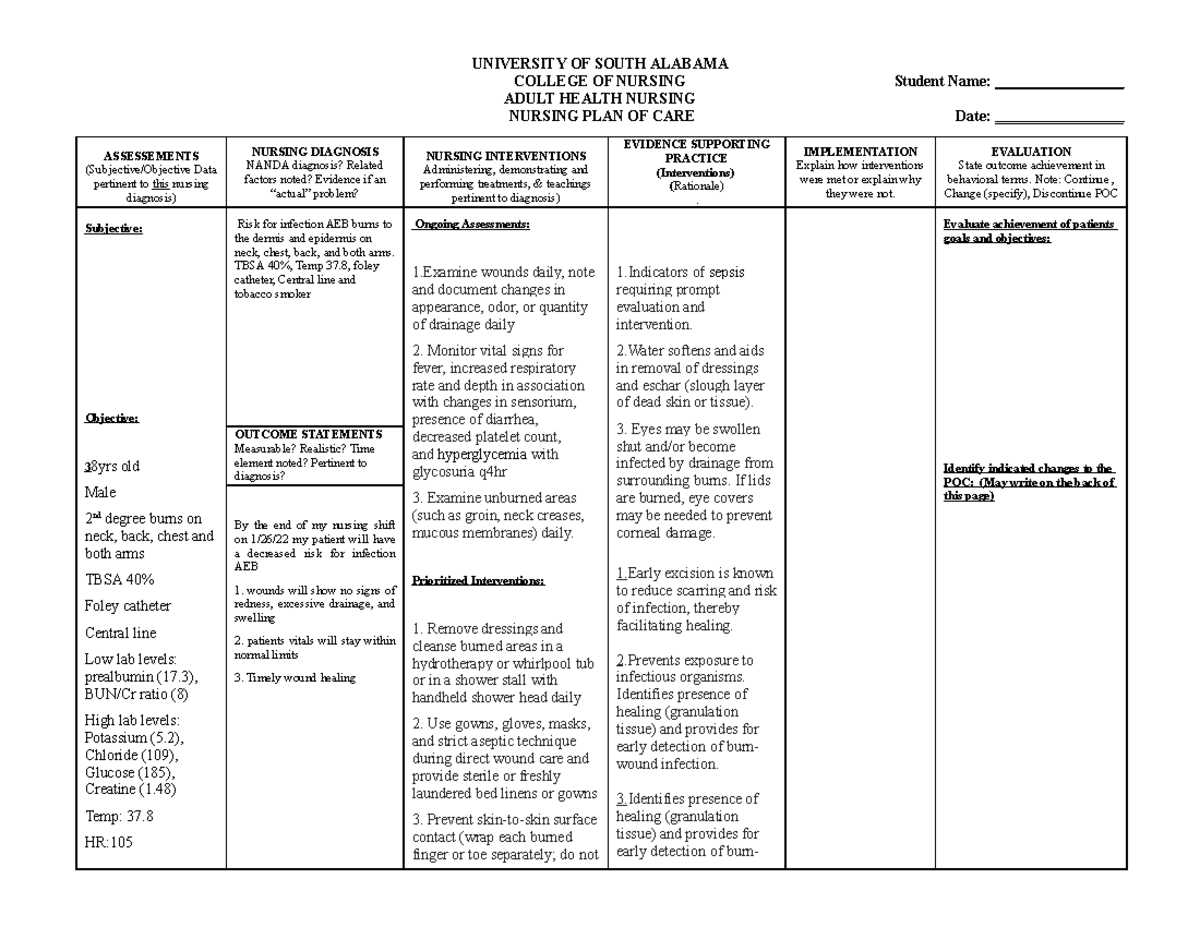 Risk For Infection Careplan Student Name Date 