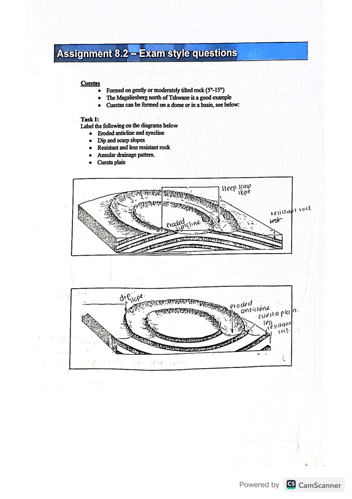 geography extended essay question examples