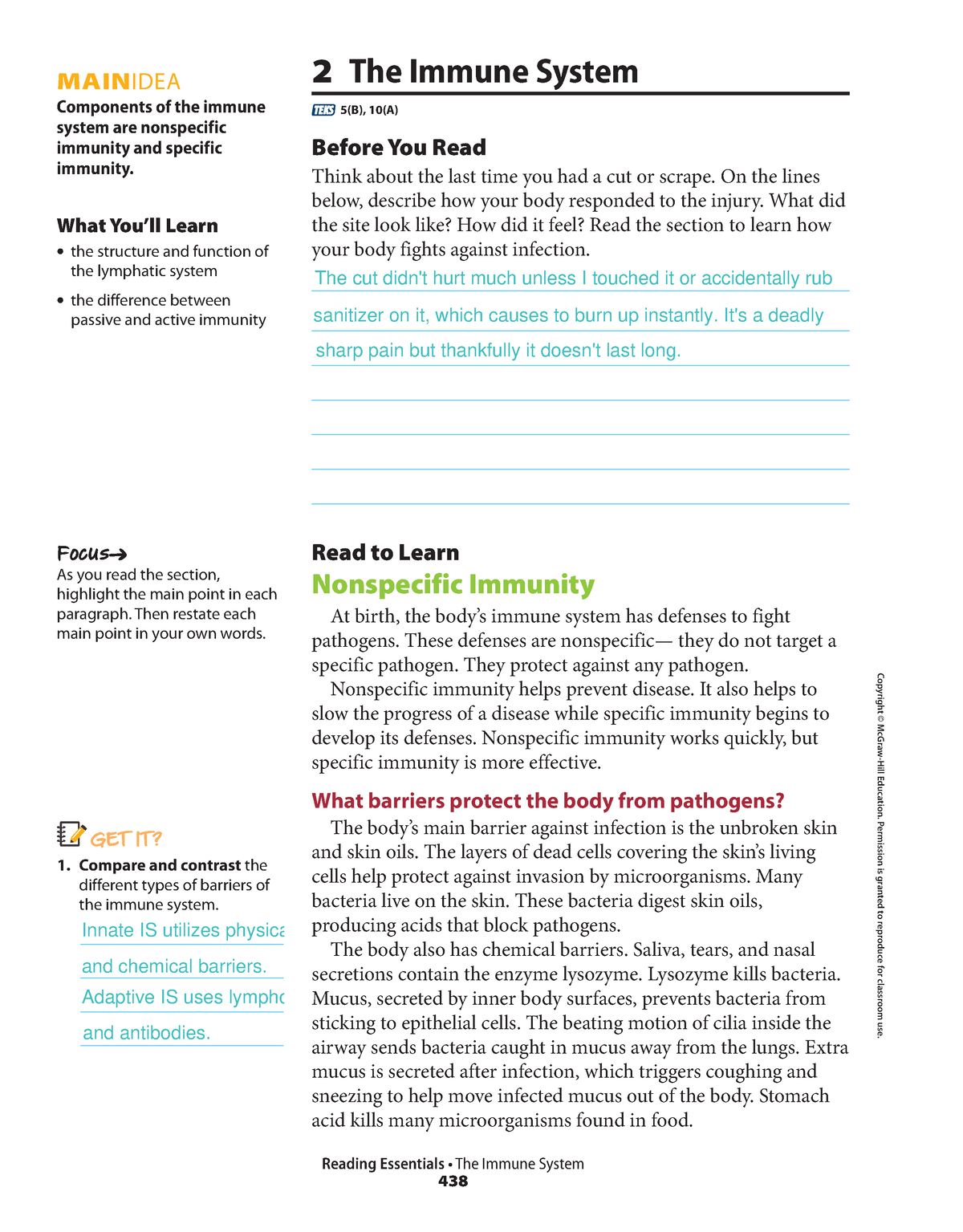 CHAP 37 THE Immune System - MAINIDEA Components of the immune system ...