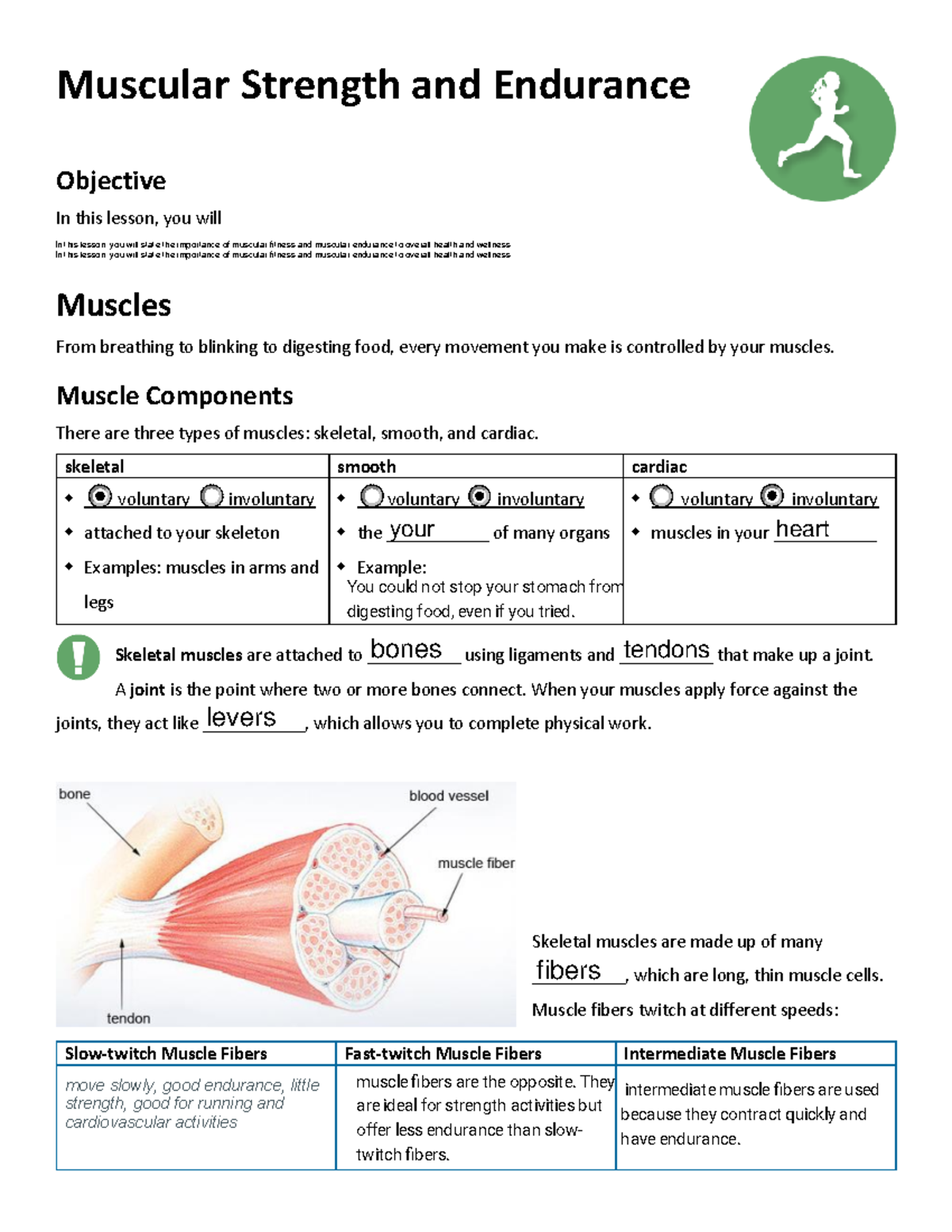 assignment 10 muscular strength and endurance