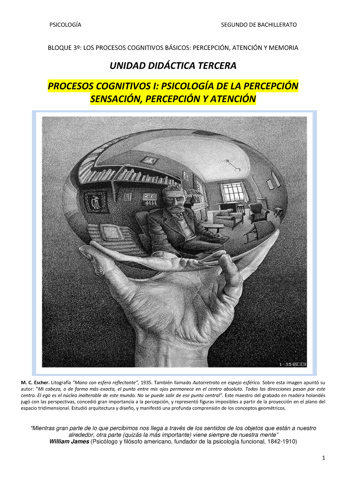 03. Procesos Cognitivos I. Psicología De La Percepción. Bloque 3º, Los ...