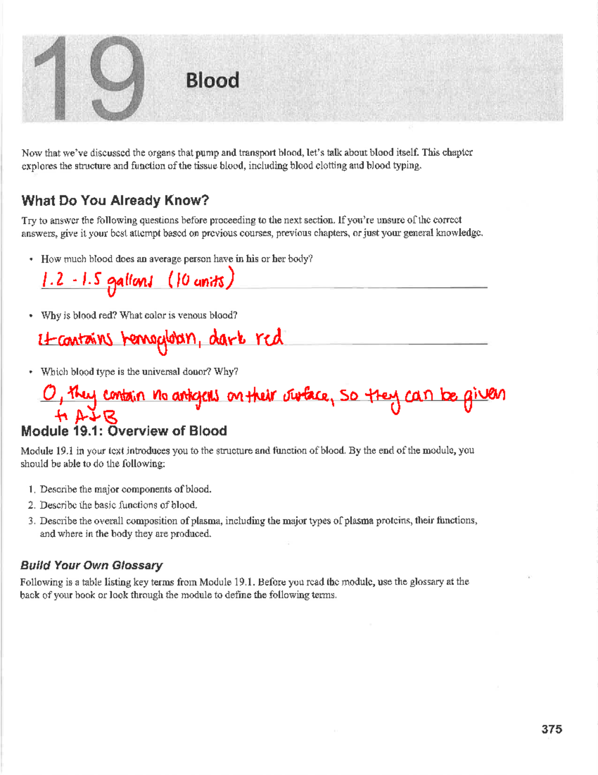Blood Handout A&P 2 - BIOL 2012 - Studocu
