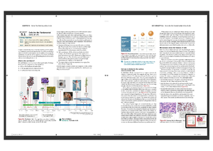 Kami Export - Health History Updated Questionnaire Questions 1through ...