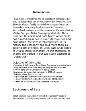 Bata 2025 company introduction