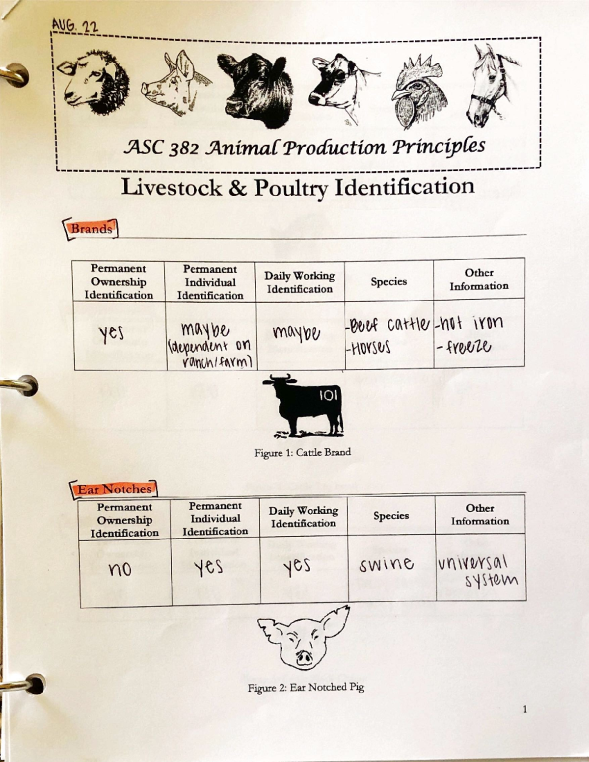 Livestock and Poultry Identification - ASC382 - UKY - Studocu