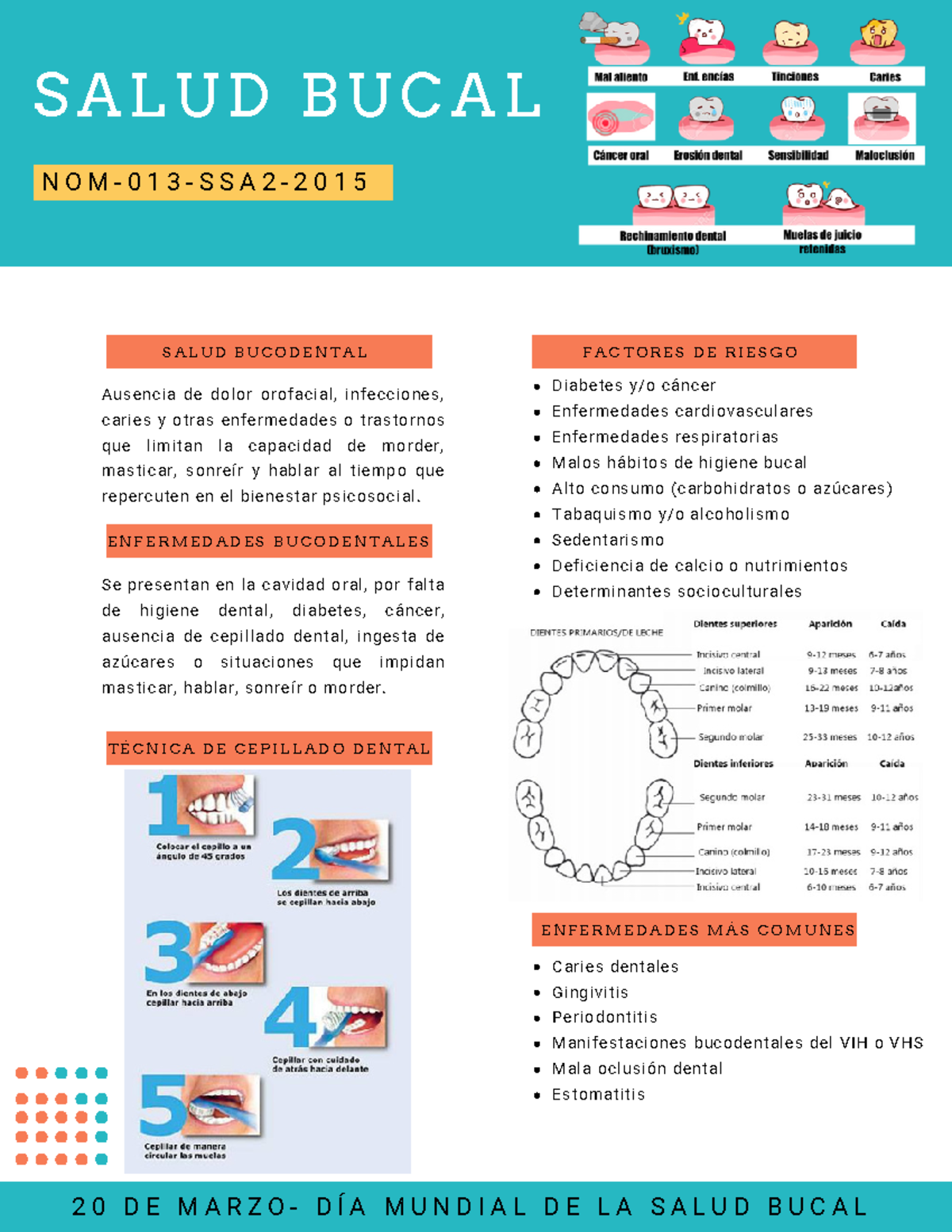 Salud Bucal - Apuntes 1 - S A L U D B U C A L NOM-013-SSA2- Ausencia De ...